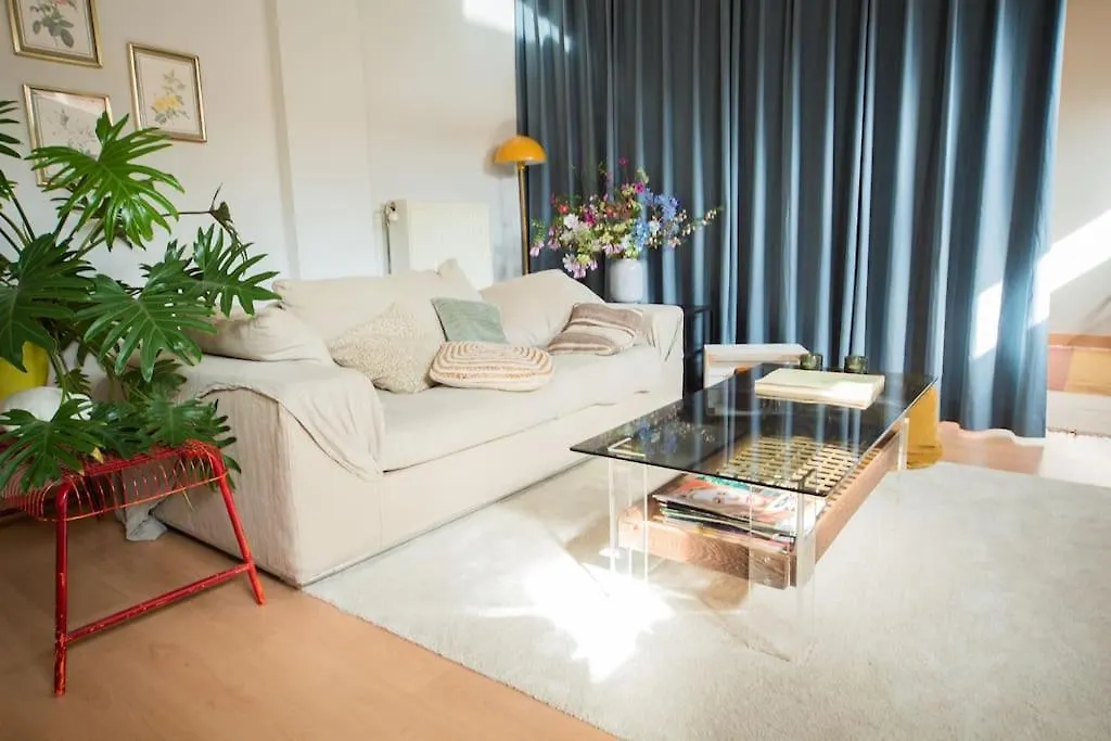 Stay Local In Charming Zuid Area Antwerp 0*,  Belgium