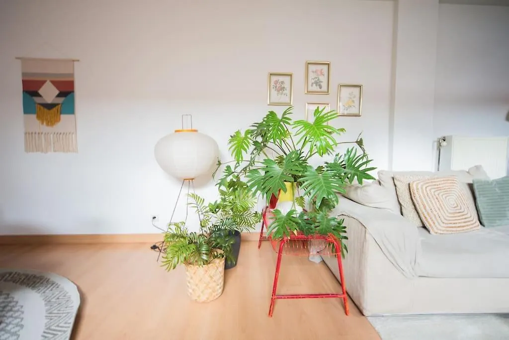 Apartment Stay Local In Charming Zuid Area Antwerp