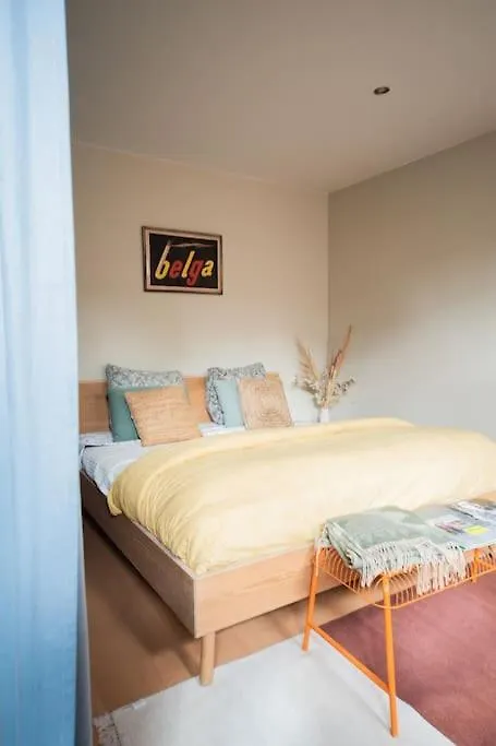 Stay Local In Charming Zuid Area Antwerp 0*,  Belgium